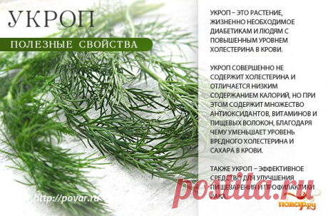 Полезные свойства продуктов