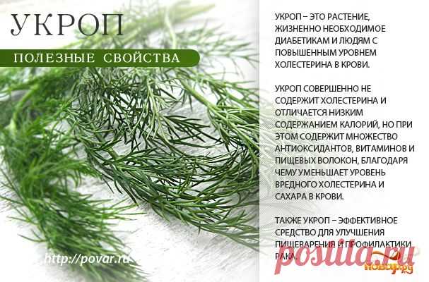 Полезные свойства продуктов