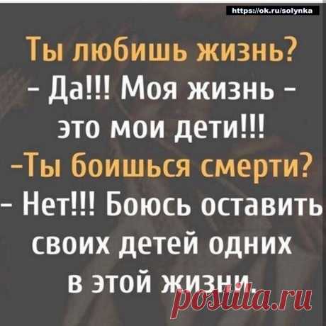жизнь