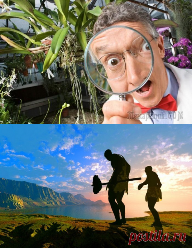 Невероятные свидетельства эволюции жизни на Земле