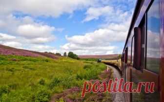 Мы ехали в одном вагоне (Дикая Собака Динго) / Стихи.ру