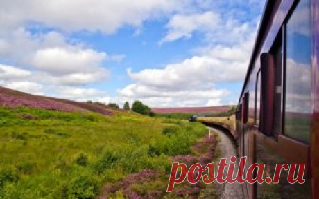 Мы ехали в одном вагоне (Дикая Собака Динго) / Стихи.ру