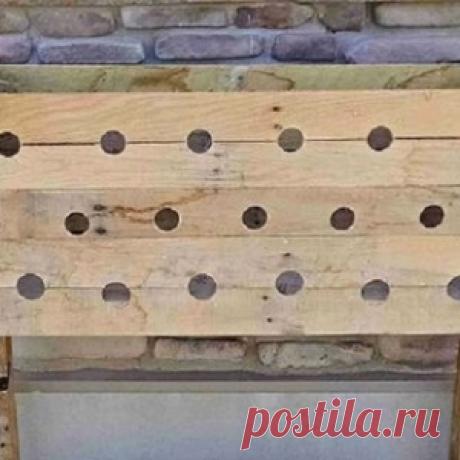Он выпилил 19 отверстий в контейнере, чтобы через 5 месяцев сад превратился в предмет гордости!