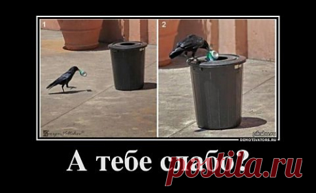 Улыбнись!