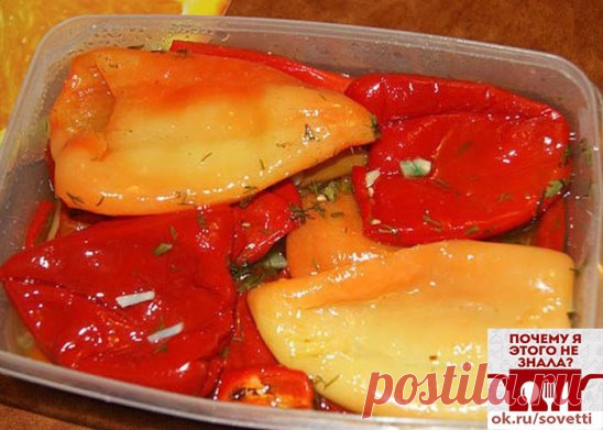 Маринованный сладкий перец
Основные
болгарский перец-3000 г
вода-1 л
сахар-1 ½ стакана
соль-2 ст. л.уксус- 9%½ стакана
растительное масло рафинированное-1 стакан
.
Перец очистить от плодоножек и семян, вымыть, разрезать на 4 части.
Подготовить маринад: в воду добавить соль, сахар, уксус и масло, довести до кипения.
Перец партиями опускать в кипящий маринад и варить 5 мин. с момента закипания.
Перец разложить по стерилизованным банкам, залить маринадом и закатать. Банки перевернуть и остудить.