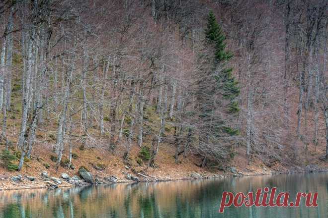Алтернативно udruženje планинара 