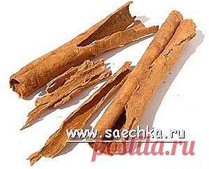Корица | Saechka.Ru - рецепты с фото