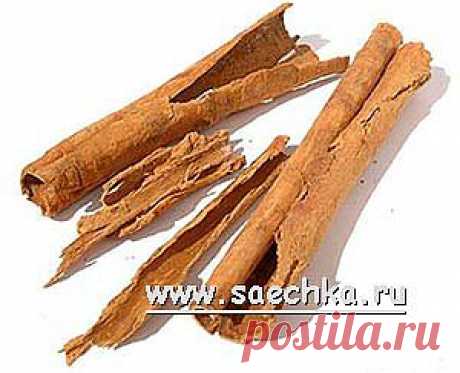 Корица | Saechka.Ru - рецепты с фото