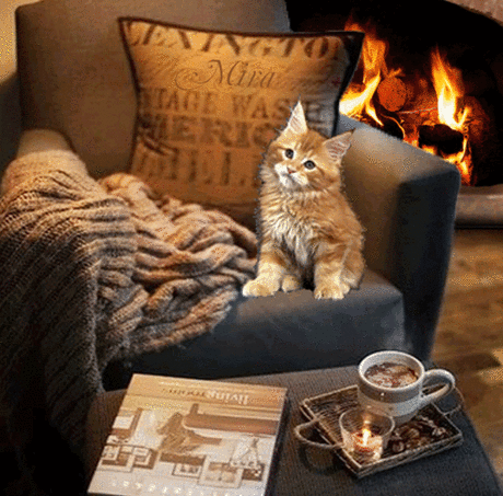 Плейкаст «ДЛЯ ТЕБЯ!!!»