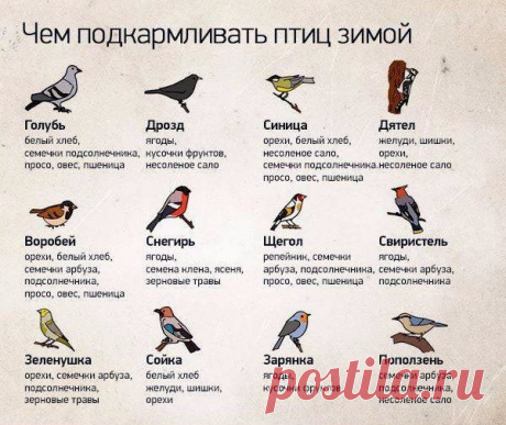 Заботимся о синичках красиво: варианты кормушек и их наполнение - Ярмарка Мастеров - ручная работа, handmade