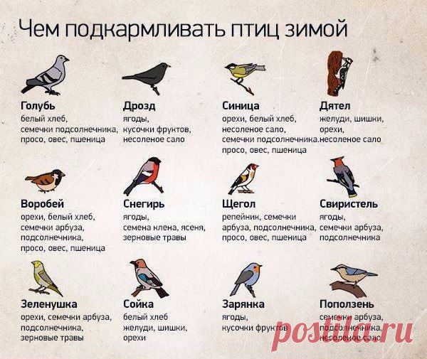 Заботимся о синичках красиво: варианты кормушек и их наполнение - Ярмарка Мастеров - ручная работа, handmade