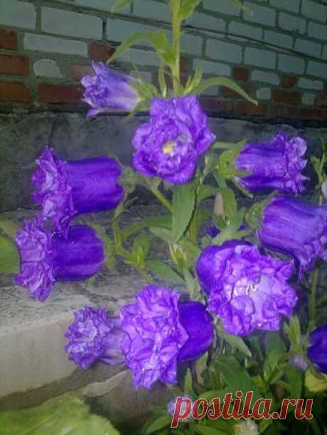 х х
6 лет, Украина, Лутугино
все её фото