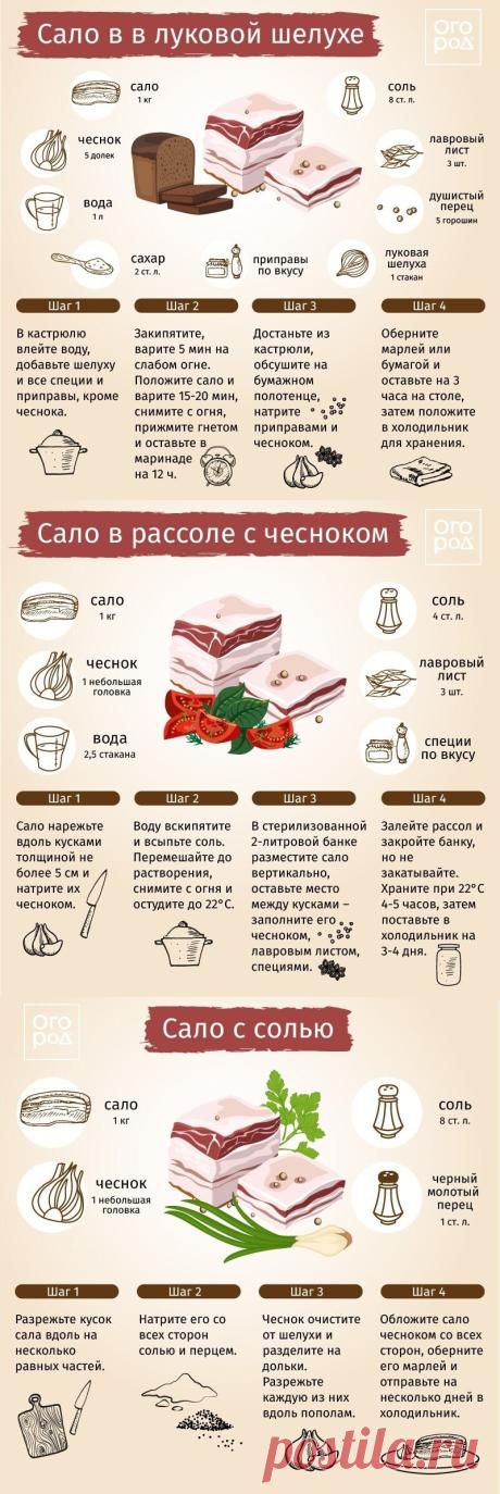 Сало в луковой шелухе. Сало в рассоле с чесноком. Сало с солью