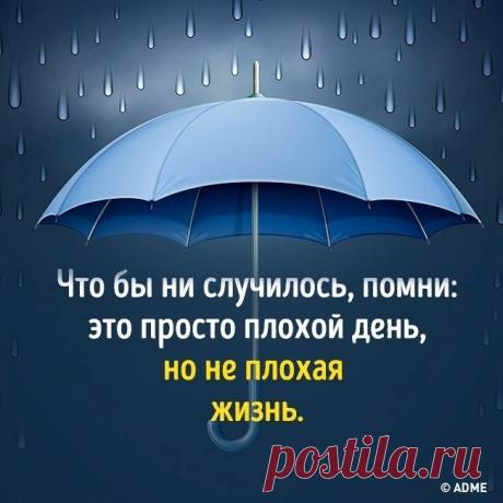 (1) Страницы