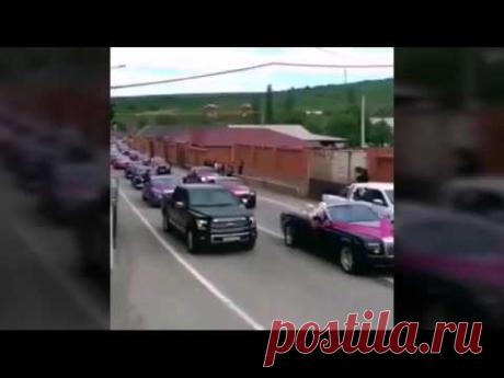 Свадьба племянника Рамзана Кадырова шокировала всех / Писец - приколы интернета