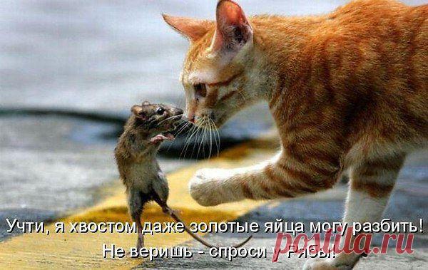 Интересные новости