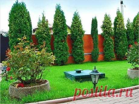 Санитарные нормы для выгребной ямы

Планируя строительство дома, вы обращаетесь к высококвалифицированному специалисту с заказом о разработке строительного проекта с учетом всех норм и правил. Это дает вам гарантию что вы не нарушите какой-либо из существующих законов. Поступаете ли вы так при устройстве выгребной ямы на своем участке? Скорее всего нет.

Для оборудования на участке сборника сточных вод существуют правила и санитарные нормы для выгребной ямы, которые нельзя...