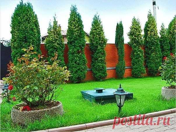 Санитарные нормы для выгребной ямы

Планируя строительство дома, вы обращаетесь к высококвалифицированному специалисту с заказом о разработке строительного проекта с учетом всех норм и правил. Это дает вам гарантию что вы не нарушите какой-либо из существующих законов. Поступаете ли вы так при устройстве выгребной ямы на своем участке? Скорее всего нет.

Для оборудования на участке сборника сточных вод существуют правила и санитарные нормы для выгребной ямы, которые нельзя...