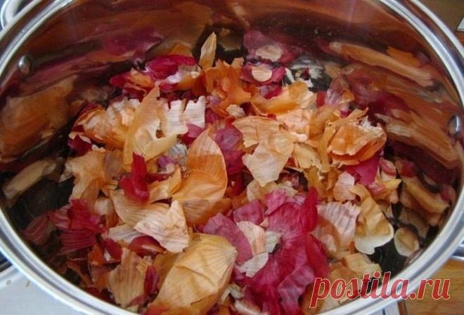 7 поводов не выбрасывать луковую шелуху в мусорное ведро