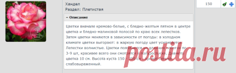 Личный кабинет