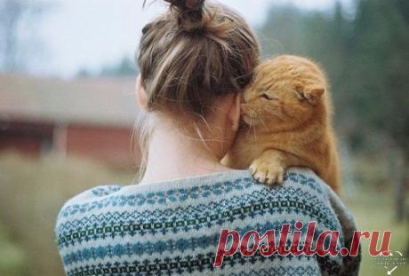 У многих из нас уже нет в живых каких-либо близких людей. И мы жутко по ним скучаем. И кто знает, может они скучают по нам больше, чем мы по ним.