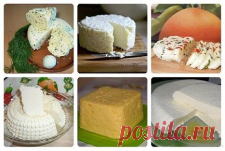 ТОП-14 вкусных домашних сыров. Сохраните для себя!
1.Домашняя моцарелла
Ингредиенты:
На 2 порции:
●1 л молока
●125 г натурального йогурта
●1,5 ч.л. соли (можно больше, кто как любит) получается не сильно солёная
●1 ст.л. уксусной эссенции (25%)
Приготовление: