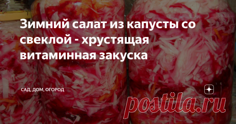 Зимний салат из капусты со свеклой - хрустящая витаминная закуска Эта заготовка из капусты придется по вкусу даже отъявленным гурманам. Насколько мои не жалуют свеклу, в этом салате уминают ее за обе щеки, только хруст за ушами стоит.
Сейчас самое время заняться приготовлением вкусняшек из белокочанной капусты, которая в сочетании со свежей свеклой является просто кладезем полезных для организма веществ.
Итак, готовим капустный салат со свеклой. Мы возьмем:
-