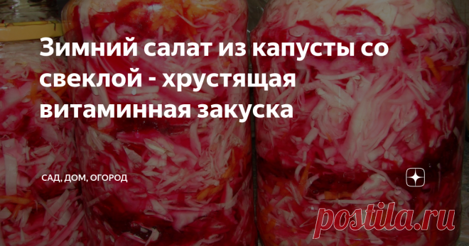 Зимний салат из капусты со свеклой - хрустящая витаминная закуска Эта заготовка из капусты придется по вкусу даже отъявленным гурманам. Насколько мои не жалуют свеклу, в этом салате уминают ее за обе щеки, только хруст за ушами стоит.
Сейчас самое время заняться приготовлением вкусняшек из белокочанной капусты, которая в сочетании со свежей свеклой является просто кладезем полезных для организма веществ.
Итак, готовим капустный салат со свеклой. Мы возьмем:
-