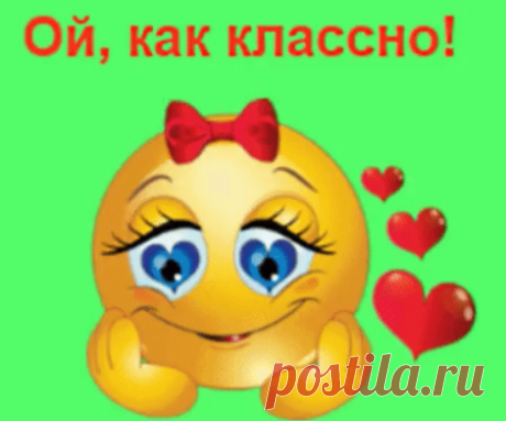 * * * * * * * * * * * *