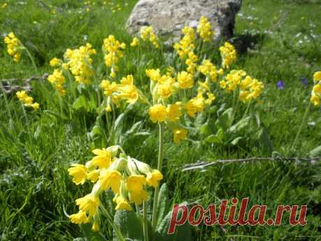 (1) Facebook