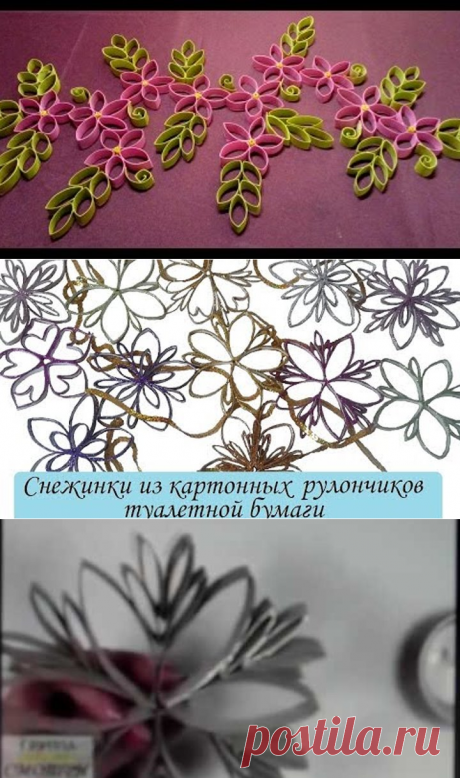 (1) Одноклассники