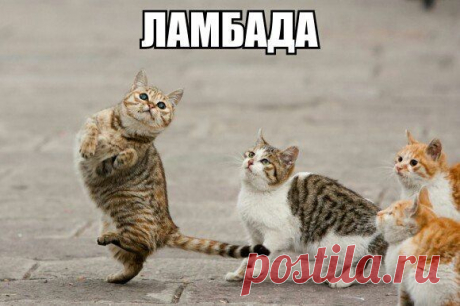 Уроки танцев о / Интересное в IT