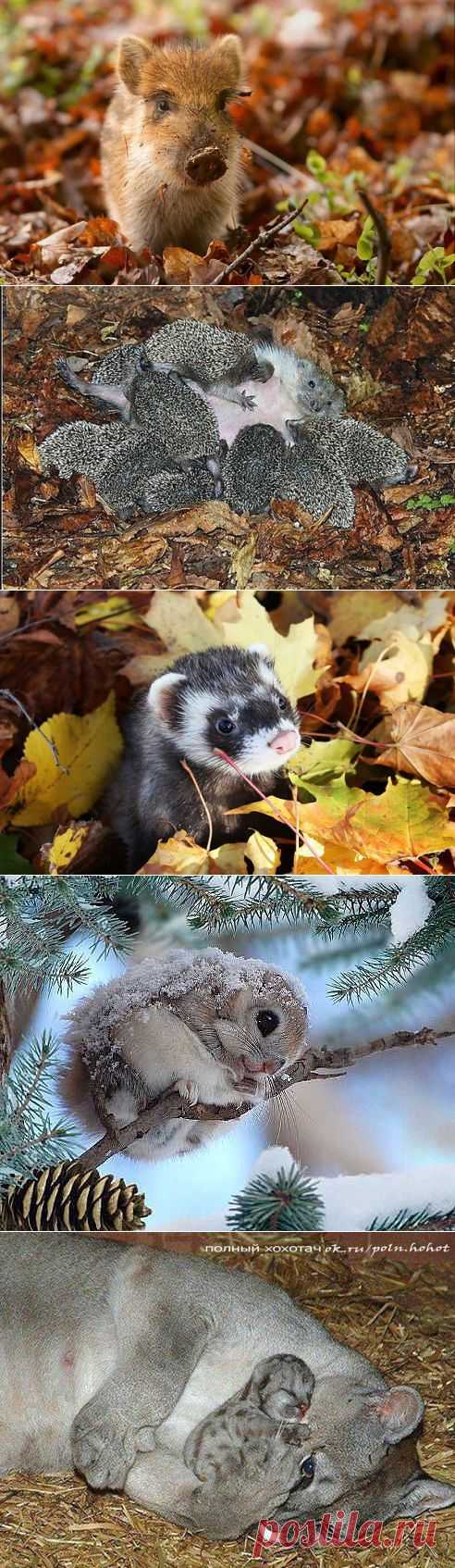 Такие милые малыши)))