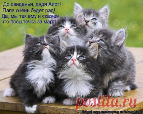 Интересные новости