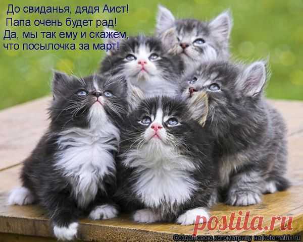 Интересные новости