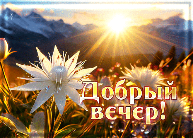 Волнующая гиф-открытка, пусть приятно проходит ваш вечер