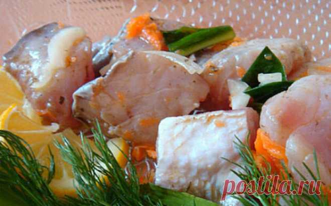 Маринованный толстолобик. Гости с руками отрывают! Домашние рыбные соленья и маринады — не только великолепный способ разнообразить ежедневный рацион, но и прекрасное решение в плане закуски на праздничный стол.
Обычно в домашних условиях солят и мари…