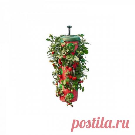 Topsy Turvy приспособление для клубники (Strawberry Planter) - купить в интернет-магазине Все блага