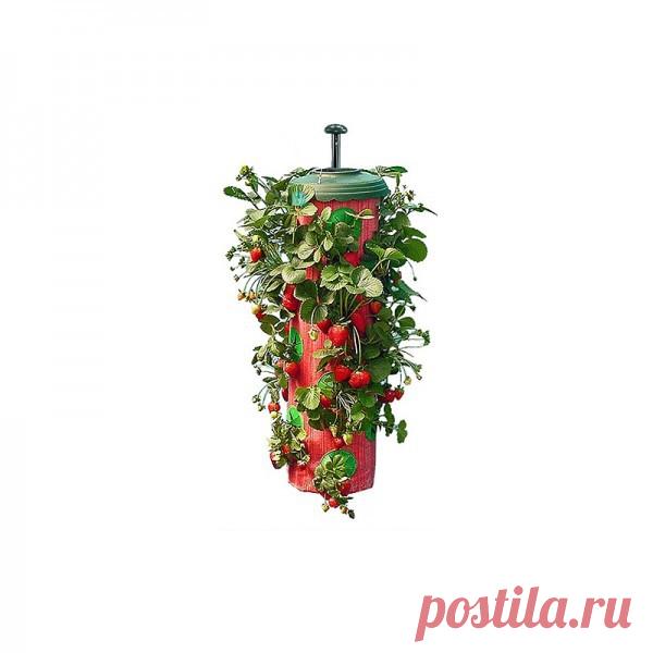Topsy Turvy приспособление для клубники (Strawberry Planter) - купить в интернет-магазине Все блага