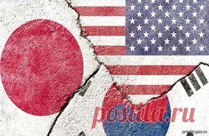 Азиатский газовый фронт, как Япония и Южная Корея реагируют на диктат США - 30 Октября 2025 - Проектирование газоснабжения