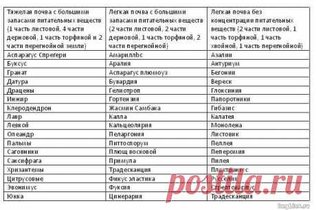 Какую почву для какого растения выбрать?