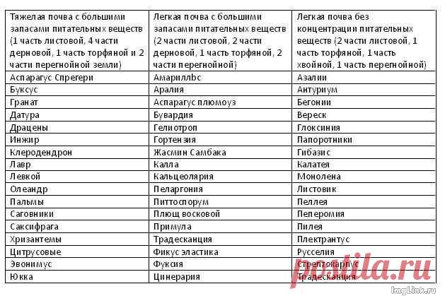 Какую почву для какого растения выбрать?.