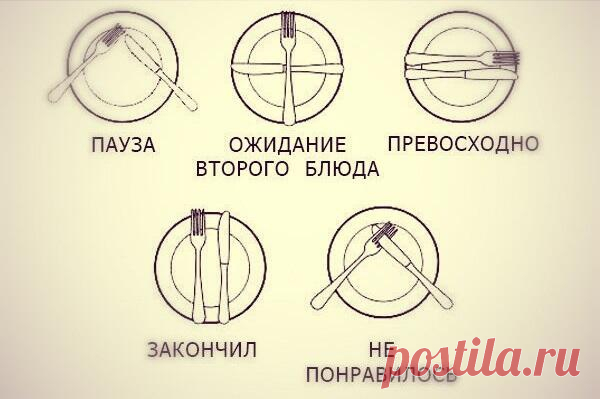 Памятка о том, как в ресторане принято складывать приборы на тарелке,