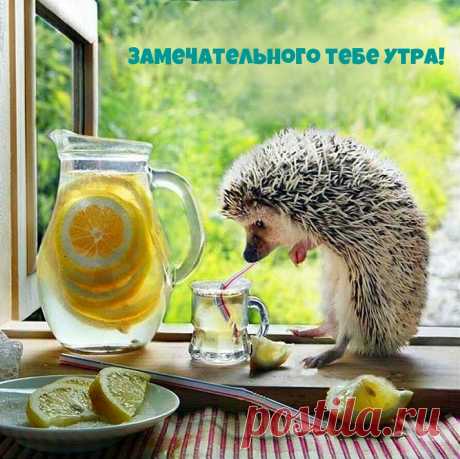 Красивые, необычные картинки: "Доброе утро!" - страница 3