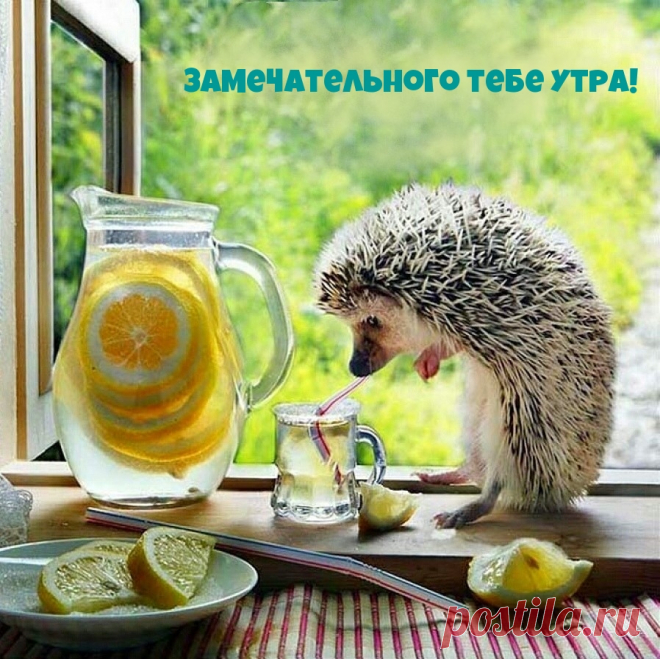 Красивые, необычные картинки: 