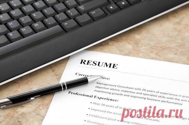 Как составить резюме в два раза быстрее? Используем Google Docs / lifehacker.ru / Surfingbird.ru