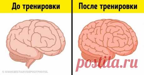 Когда спорт и интеллект заодно: 7 видов спортивных тренировок для мозга . Милая Я