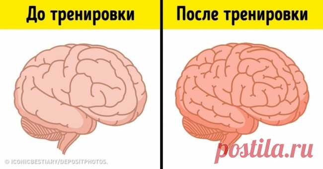 Когда спорт и интеллект заодно: 7 видов спортивных тренировок для мозга . Милая Я