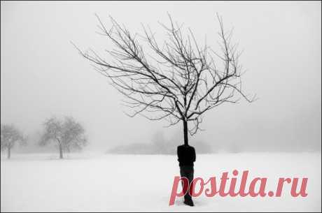 Graphics Think Tank: 200+ Adorable Examples of Surreal Photography