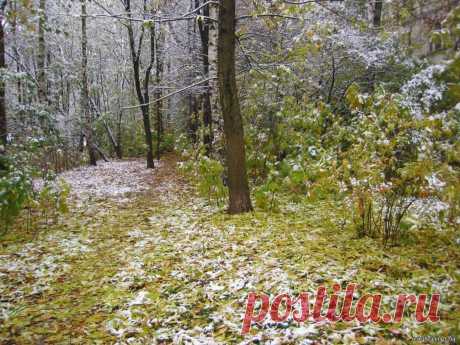 822936534.jpg (1400×1050)